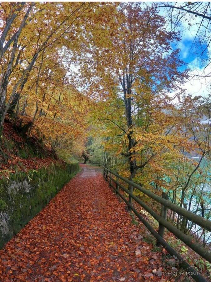 Colori Nel Parco Apartment Cesiomaggiore ภายนอก รูปภาพ